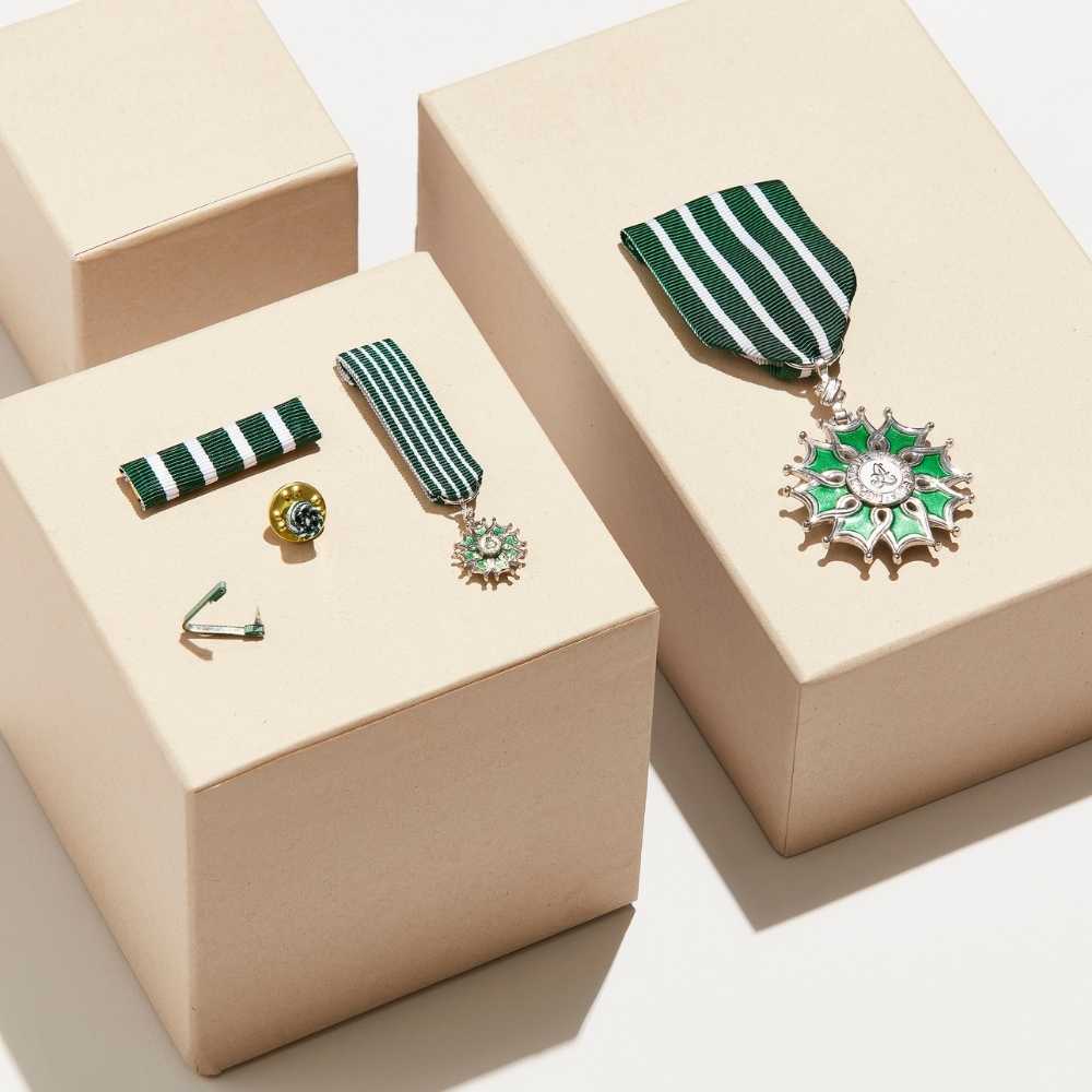 Tout savoir sur la médaille des Arts et des Lettres