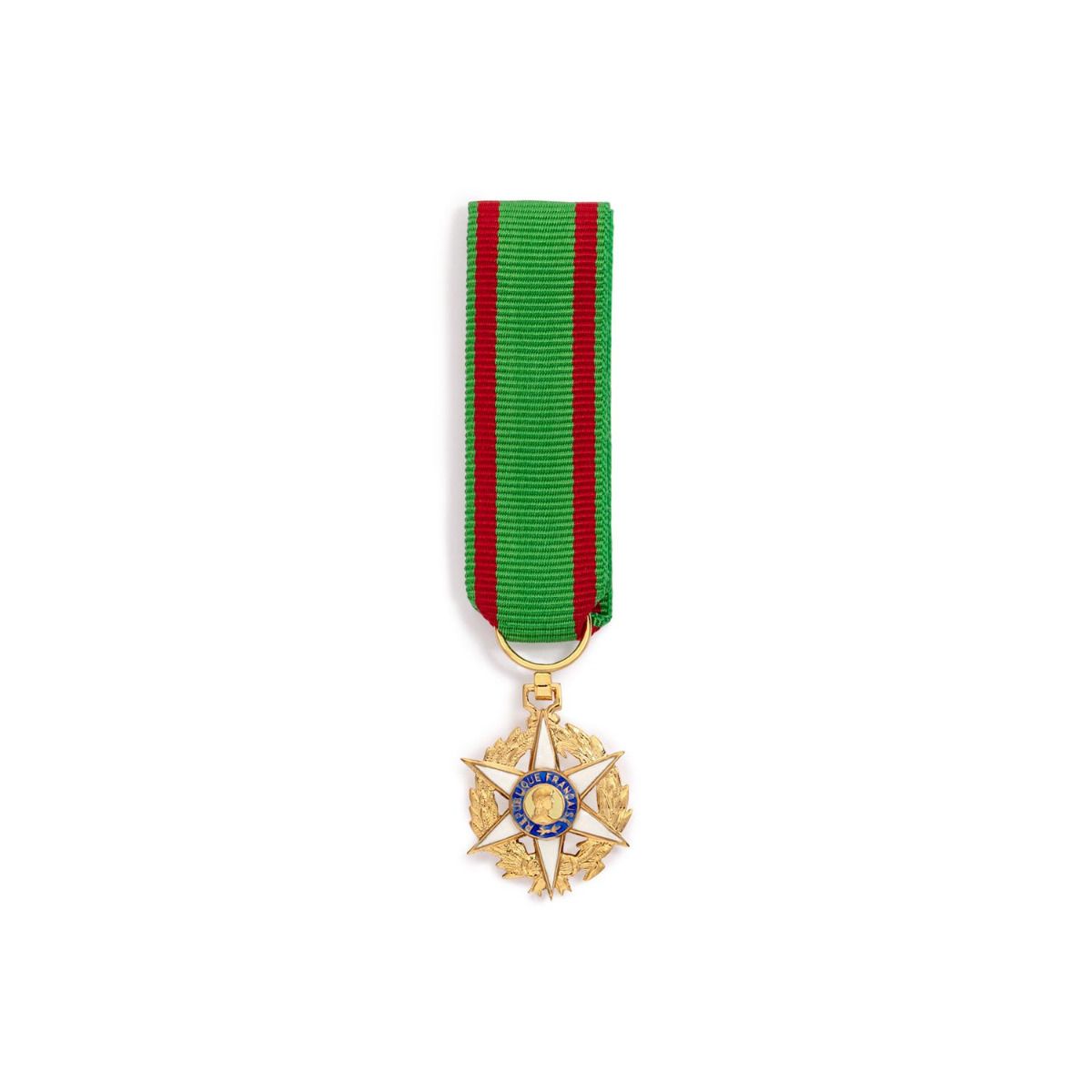 Miniature du Mérite Agricole Chevalier en Argent face