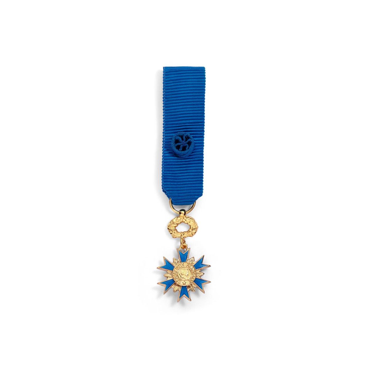 Miniature de l'Ordre National du Mérite Officier en Argent doré face