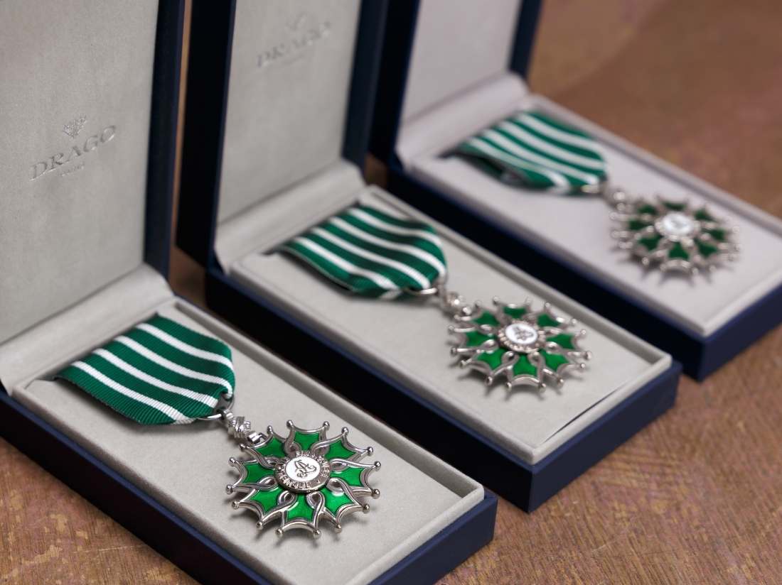 remise médaille arts et lettres